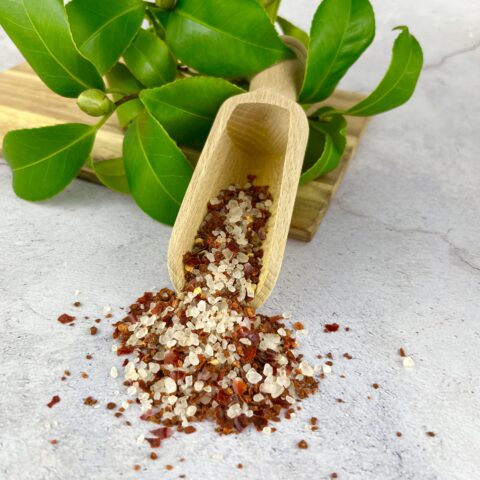 Mexico Salz auf einer Schaufel